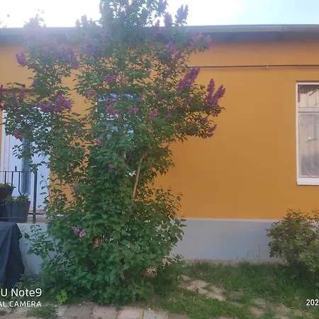 Mit Garten Zentrumsnah Apartment *